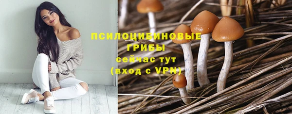 ПСИЛОЦИБИНОВЫЕ ГРИБЫ Абинск