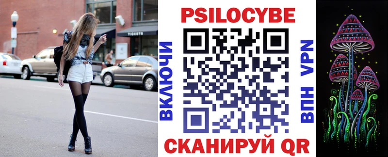 как найти закладки  Дивногорск  MEGA как войти  Псилоцибиновые грибы Magic Shrooms 