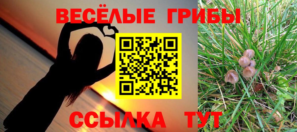 Псилоцибиновые грибы мухоморы Дивногорск